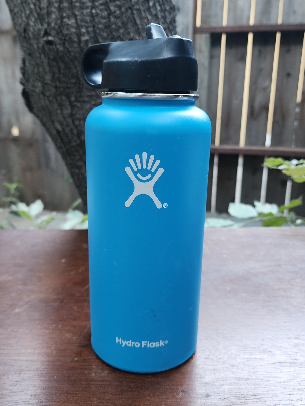Hydro Flask Wide Mouth Water Bottle Pacific Blue 32oz Flex Straw Cap